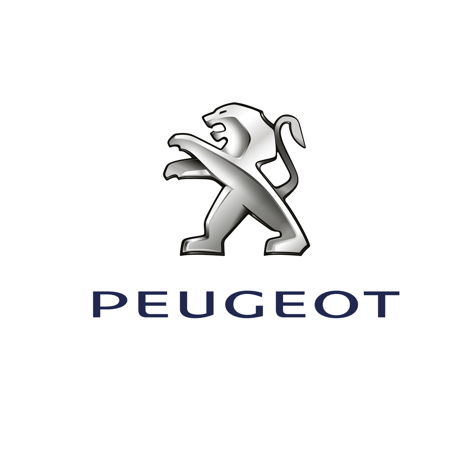 Marque entretenue par Auto Repair Service